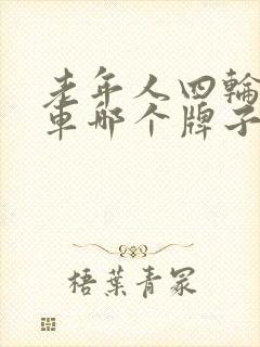 老年人四轮代步车哪个牌子好