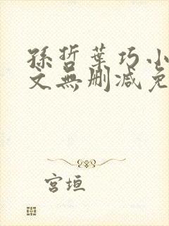 孙哲叶巧小说全文无删减免费阅读
