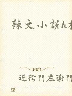辣文小说h校园