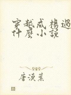 穿越成杨过的是什么小说