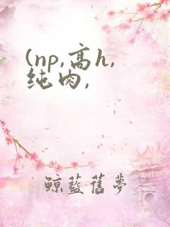 (np,高h,纯肉,
