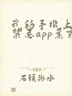 我的手机上全是禁忌app叶霖全文