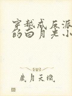穿越成反派早死的白月光小说