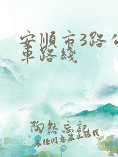 安顺市3路公交车路线