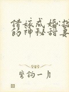 错嫁成婚:总裁的神秘甜妻
