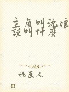 主角叫沈浪的小说叫什么