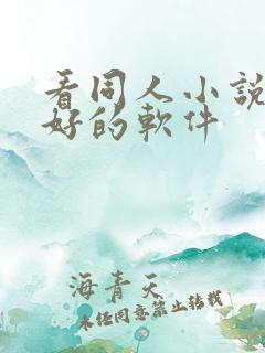 看同人小说比较好的软件