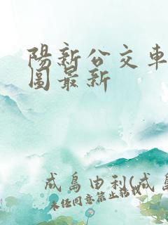 阳新公交车路线图最新