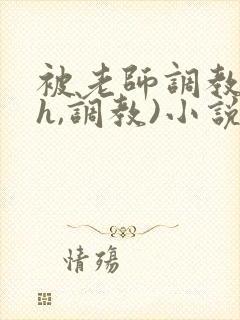 被老师调教(高h,调教)小说