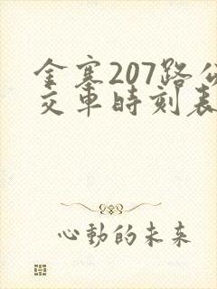 金寨207路公交车时刻表查询