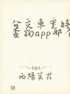 公交车实时到站查询app哪个好