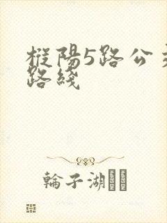 枞阳5路公交车路线