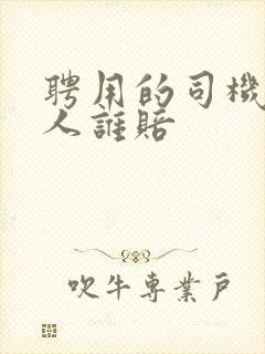 聘用的司机撞死人谁赔