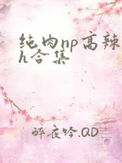 纯肉np高辣文h合集