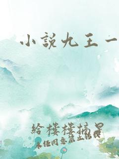 小说九王一后