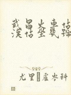 武昌火车站到武汉站坐几号地铁