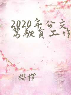 2020年公交驾驶员工作总结简单版