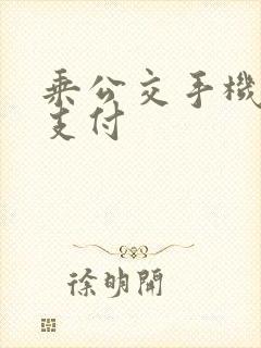 乘公交手机怎么支付