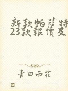 新款帕萨特2023款报价及图片及价格