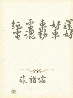纯电车好还是油电混动车好