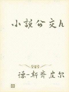 小说公交h 小说公交h