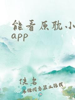 能看原耽小说的app