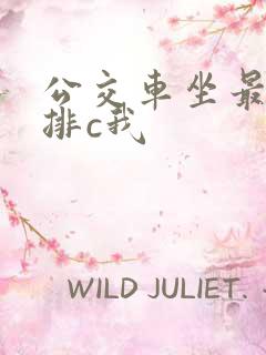 公交车坐最后一排c我