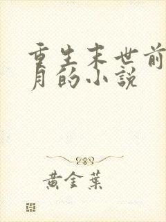 重生末世前一个月的小说