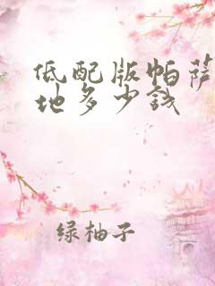 低配版帕萨特落地多少钱