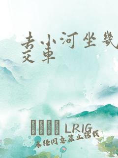 去小河坐几路公交车