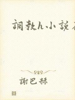 调教h小说在线