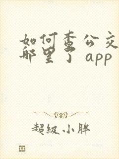 如何查公交车到哪里了 app