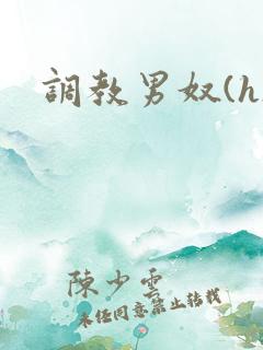 调教男奴(h) 调教男奴(h)