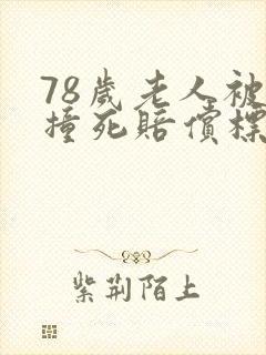 78岁老人被车撞死赔偿标准