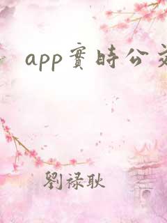 app实时公交