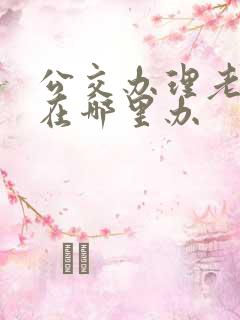 公交办理老年卡在哪里办