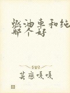 燃油车和纯电车哪个好