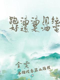 跑滴滴用纯电车好还是油电混合车好