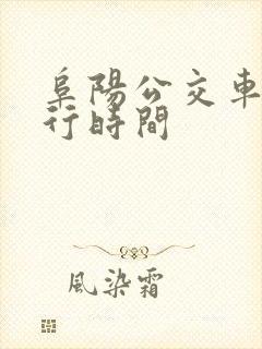 阜阳公交车道限行时间