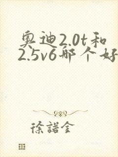 奥迪2.0t和2.5v6哪个好 奥迪2.0t和2.5v6哪个好