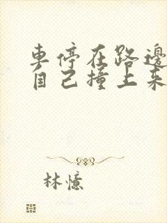 车停在路边别人自己撞上来,谁的责任大