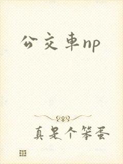 公交车np