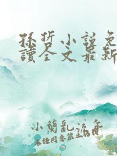 孙哲小说免费阅读全文最新章节