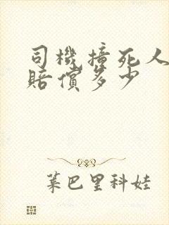 司机撞死人全责赔偿多少