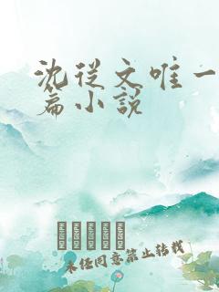 沈从文唯一的长篇小说