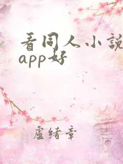 看同人小说哪个app好
