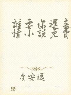 谁要你迟来的深情小说免费阅读