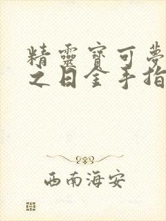 精灵宝可梦究极之日金手指
