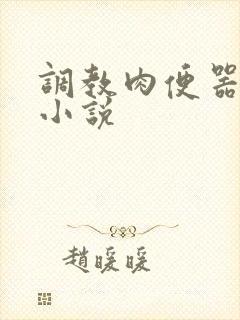 调教肉便器母狗小说