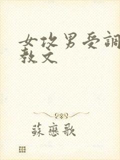 女攻男受调教调教文